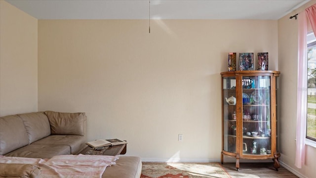 living room with plenty of natural light and hardwood / wood-style floors