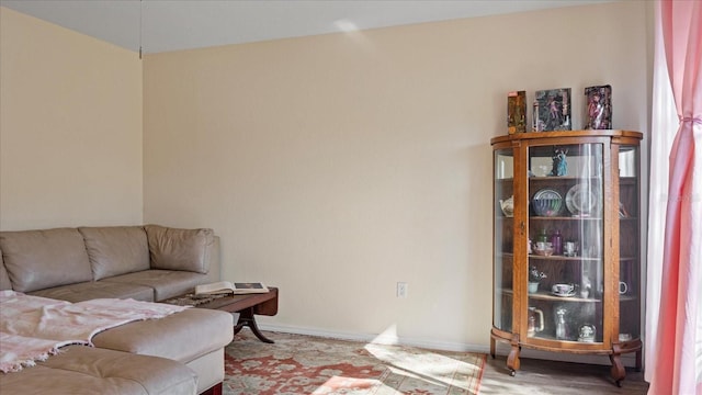 living room featuring hardwood / wood-style floors