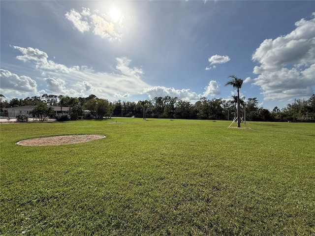 view of yard