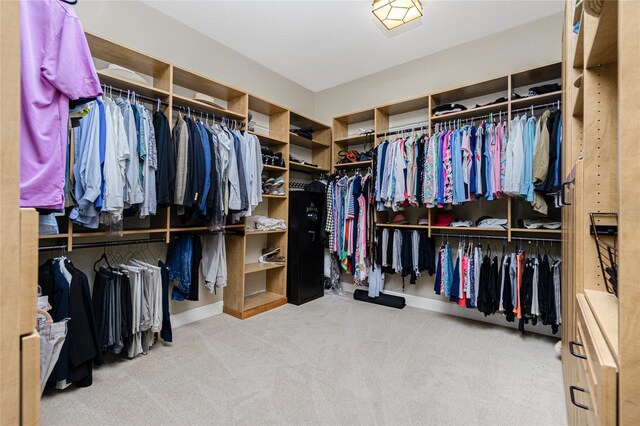 spacious closet featuring carpet