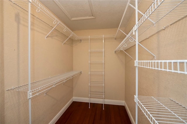 spacious closet featuring hardwood / wood-style flooring