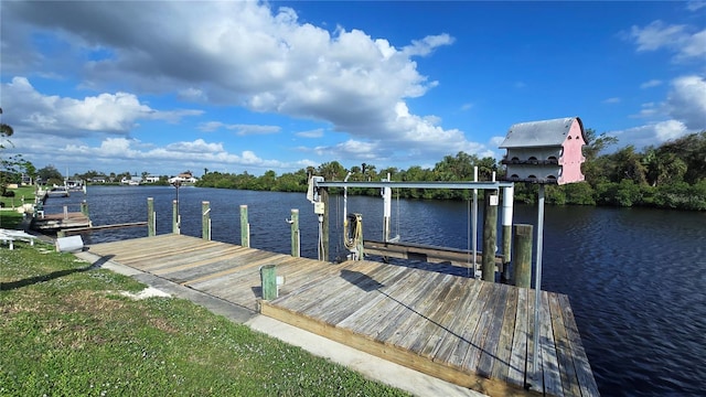 dock area with a water view