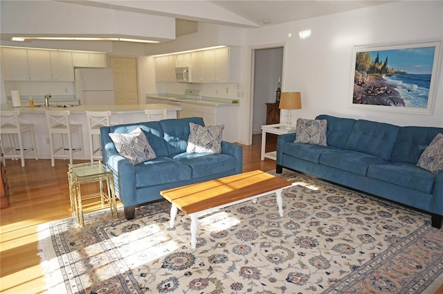 living room featuring dark hardwood / wood-style floors and sink