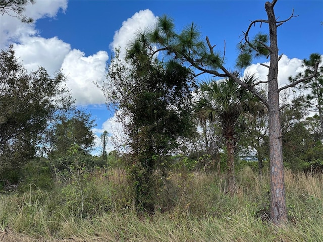 12069 Borax Ave, Punta Gorda, FL 33955
