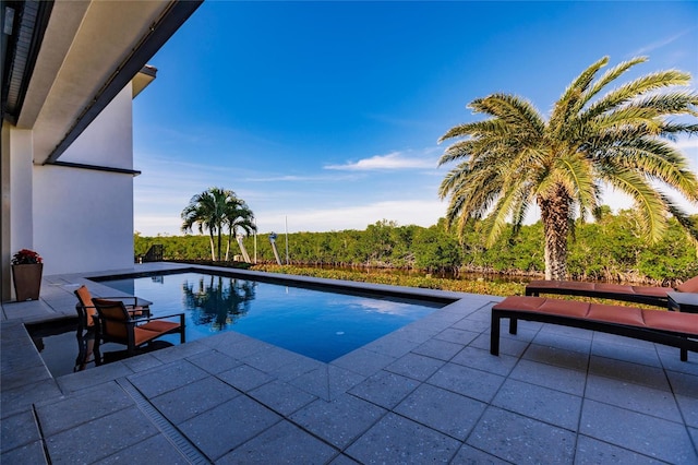 view of pool with a patio area