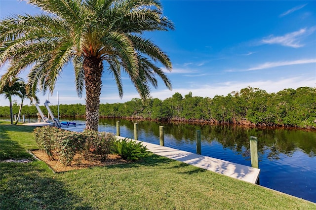 view of water feature featuring a boat dock