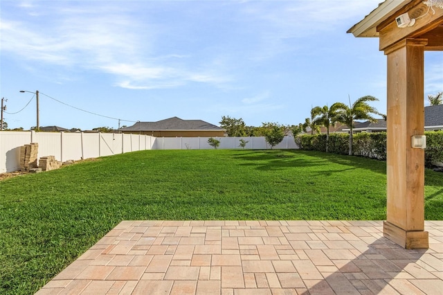 view of yard with a patio