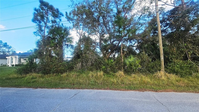 Listing photo 3 for Deer Run Rd, North Port FL 34291