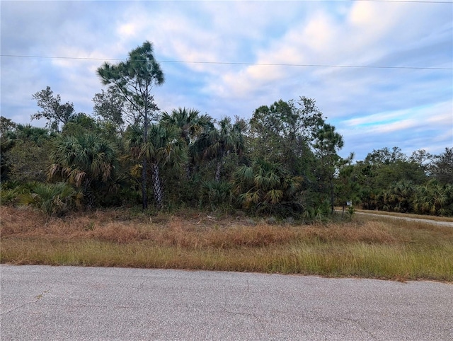 Listing photo 2 for LOT11 Mattox Cir, North Port FL 34288