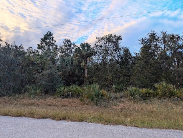 Listing photo 3 for LOT12 Mattox Cir, North Port FL 34288