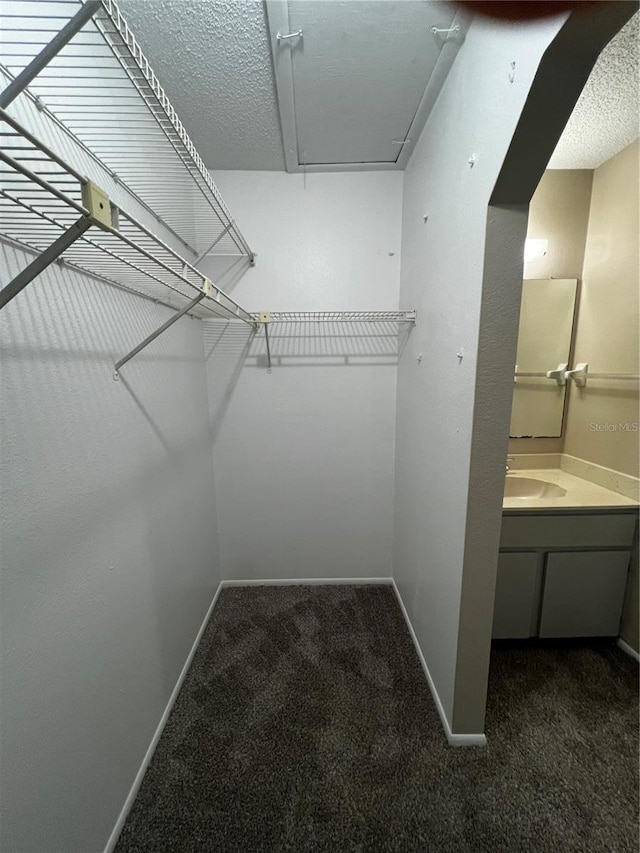 walk in closet featuring sink and dark carpet