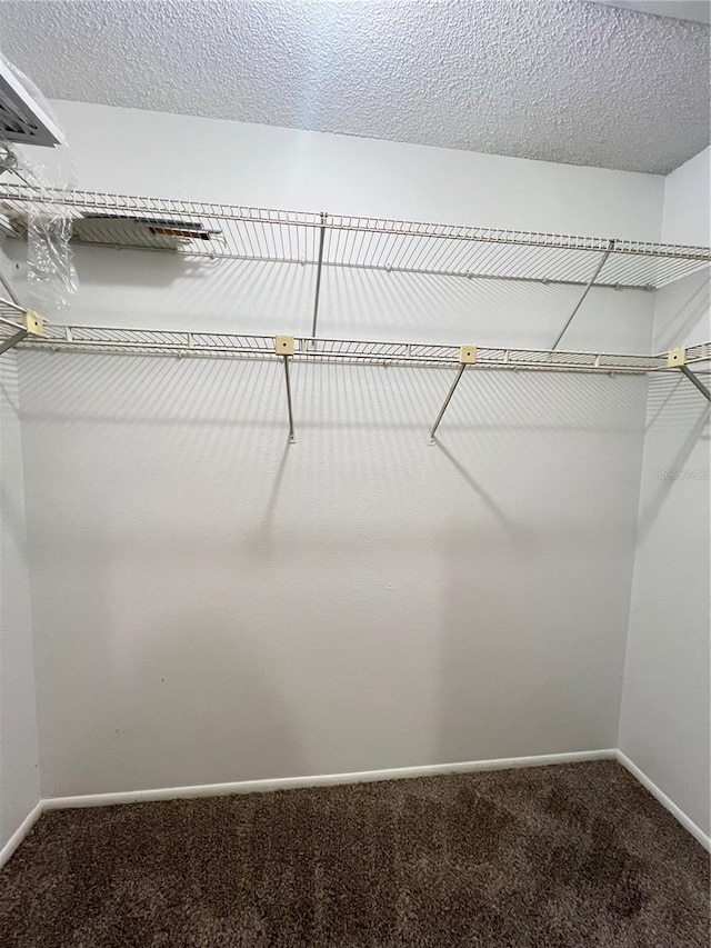 25068 Harborview Rd Unit 1A, Punta Gorda, FL 33980 - walk in closet with carpet floors