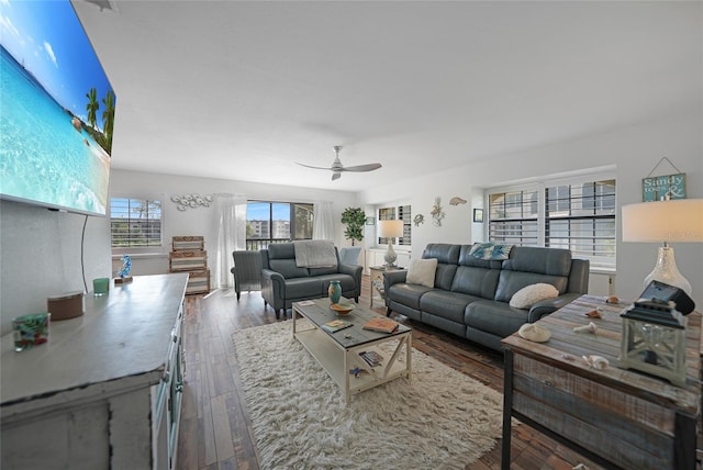 living room featuring ceiling fan and dark hardwood / wood-style flooring