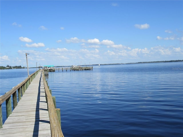 dock area with a water view