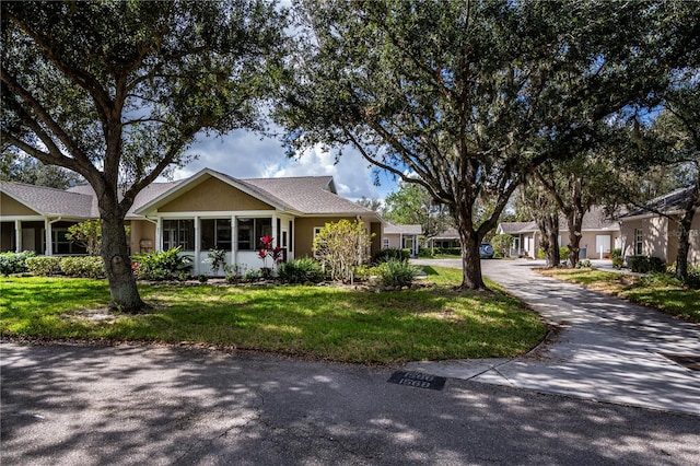 ranch-style house featuring a front lawn