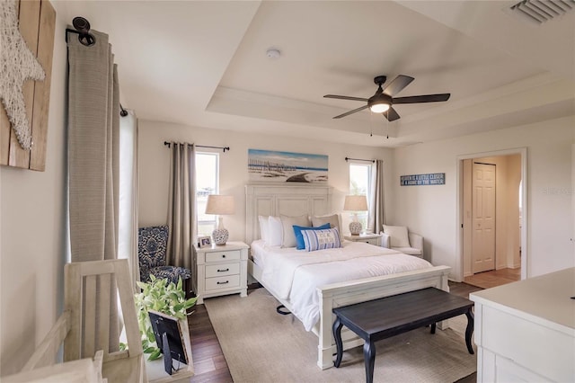 bedroom with a raised ceiling, multiple windows, ceiling fan, and dark hardwood / wood-style flooring