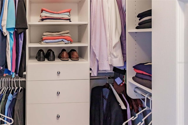 view of spacious closet