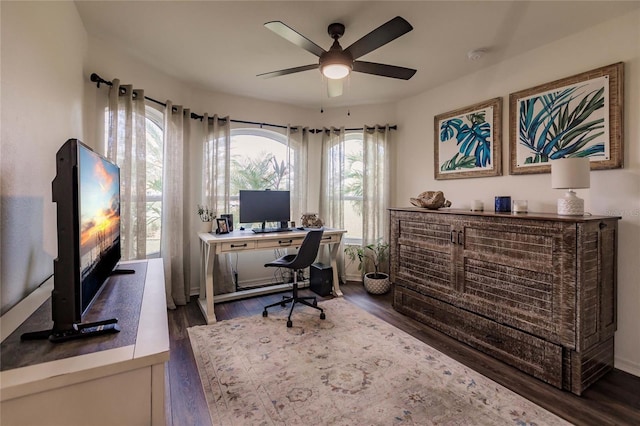 office space featuring dark hardwood / wood-style floors and ceiling fan