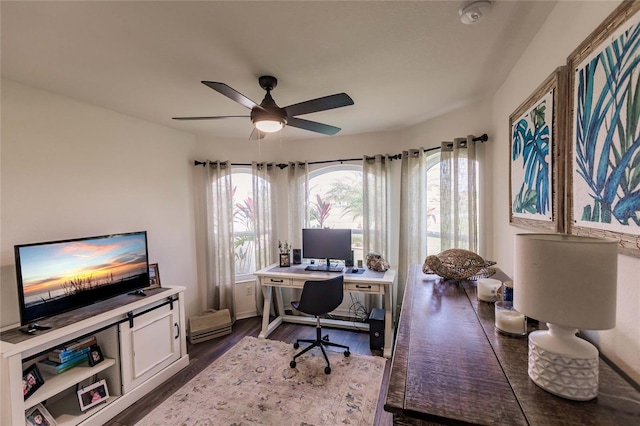 office space featuring ceiling fan and dark hardwood / wood-style flooring