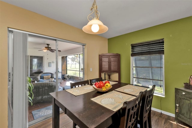 dining space with ceiling fan and wood-type flooring