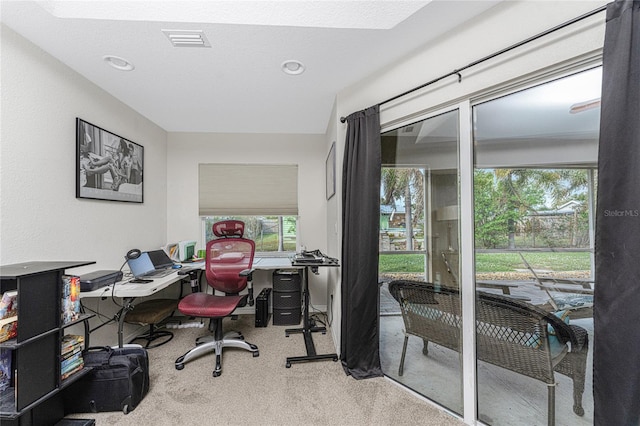 home office with carpet flooring