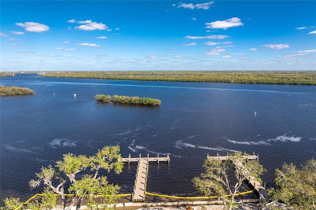 water view featuring a boat dock