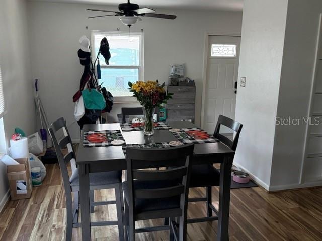 dining space featuring dark hardwood / wood-style floors and ceiling fan