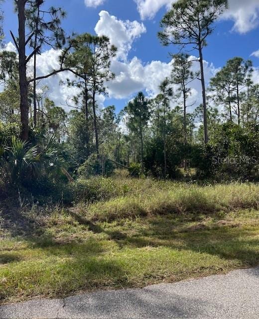 27134 Pasadena Dr, Punta Gorda FL, 33955 land for sale