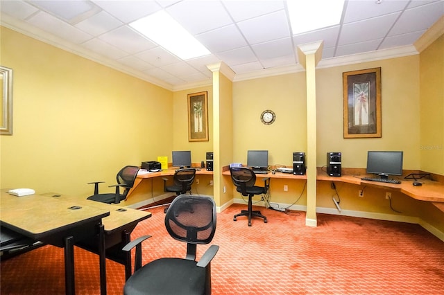 office featuring crown molding, carpet floors, and a drop ceiling