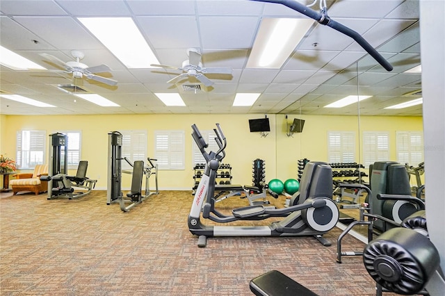 gym featuring ceiling fan, a paneled ceiling, and carpet