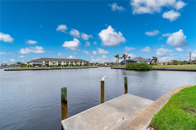 dock area with a water view