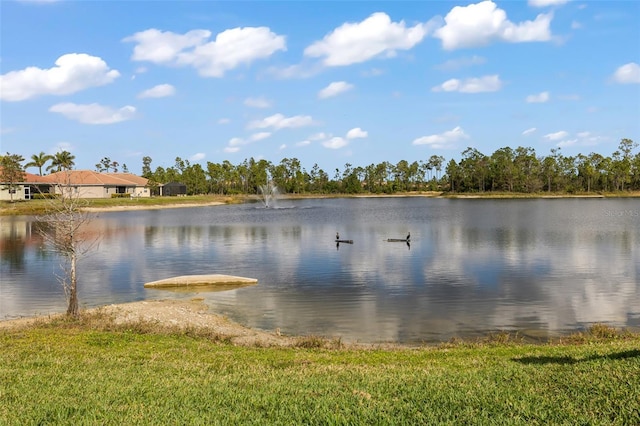 view of water feature