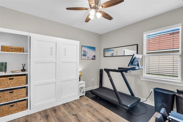 exercise area with ceiling fan and light wood-type flooring