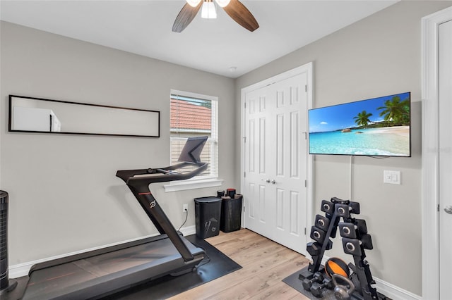 workout area featuring light hardwood / wood-style flooring and ceiling fan