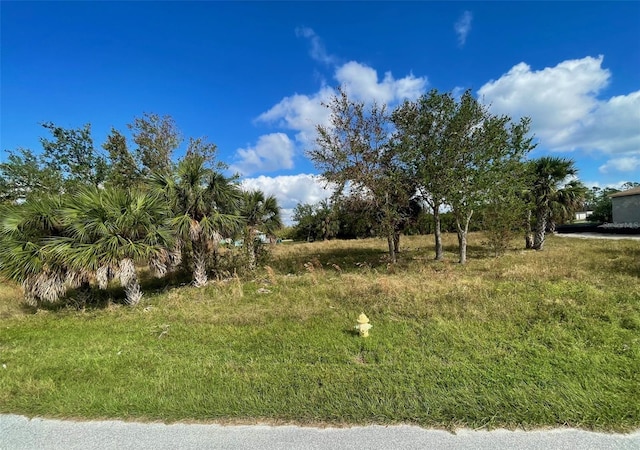 9558 Honeymoon Dr, Port Charlotte FL, 33981 land for sale