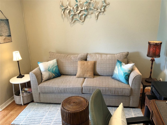 living room featuring hardwood / wood-style flooring