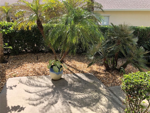 view of yard featuring a patio