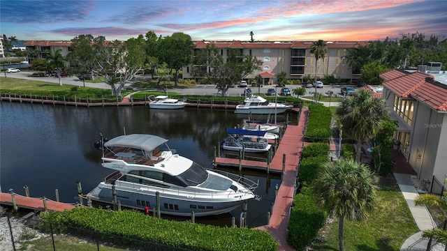 dock area with a water view