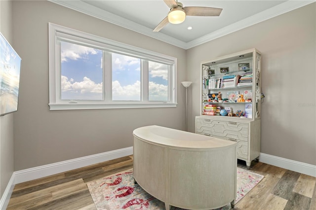 office space with hardwood / wood-style flooring, ceiling fan, and ornamental molding