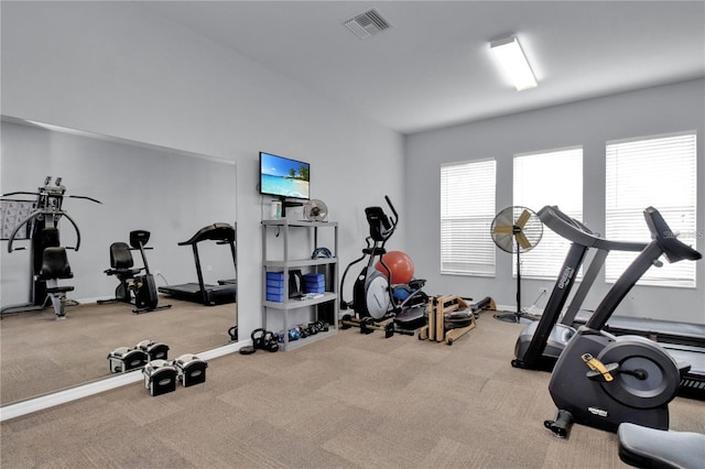 workout area featuring carpet flooring and a wealth of natural light