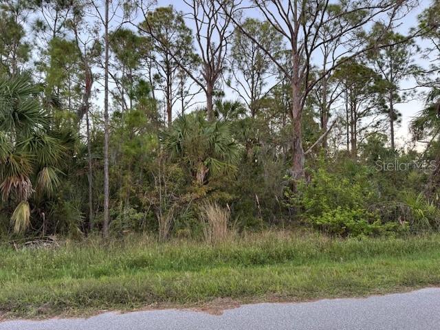 1457 Adalia Ter, Port Charlotte, FL 33953 - photo 2