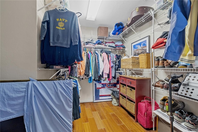 spacious closet featuring light hardwood / wood-style flooring