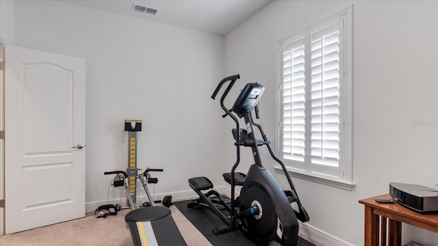 workout area featuring carpet flooring and a healthy amount of sunlight