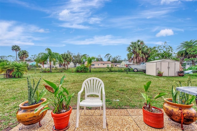 view of yard featuring a storage unit