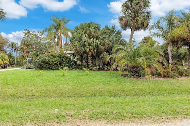 4290 Randypaar St, Port Charlotte, FL 33948 - view of grassy yard