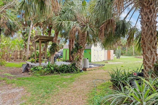 view of yard featuring a storage unit