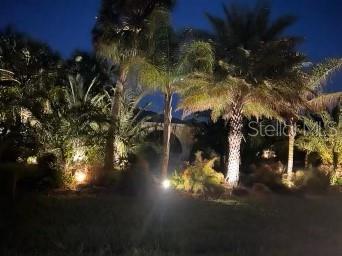 4290 Randypaar St, Port Charlotte, FL 33948 - view of nature at twilight