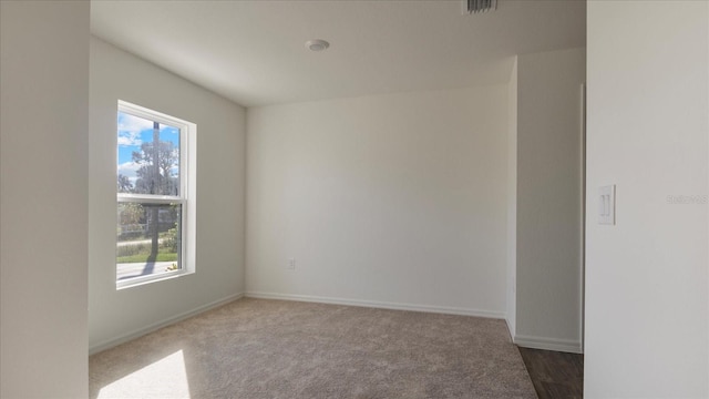 spare room featuring a wealth of natural light and carpet