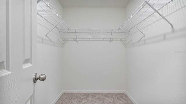 spacious closet with carpet flooring