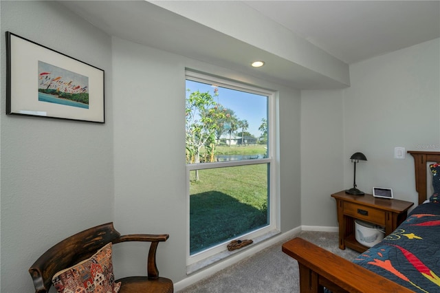 view of carpeted bedroom